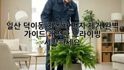 일산 덕이동 자동차 먼지 제거 완벽 가이드! 쾌적한 드라이빙 시작하세요!